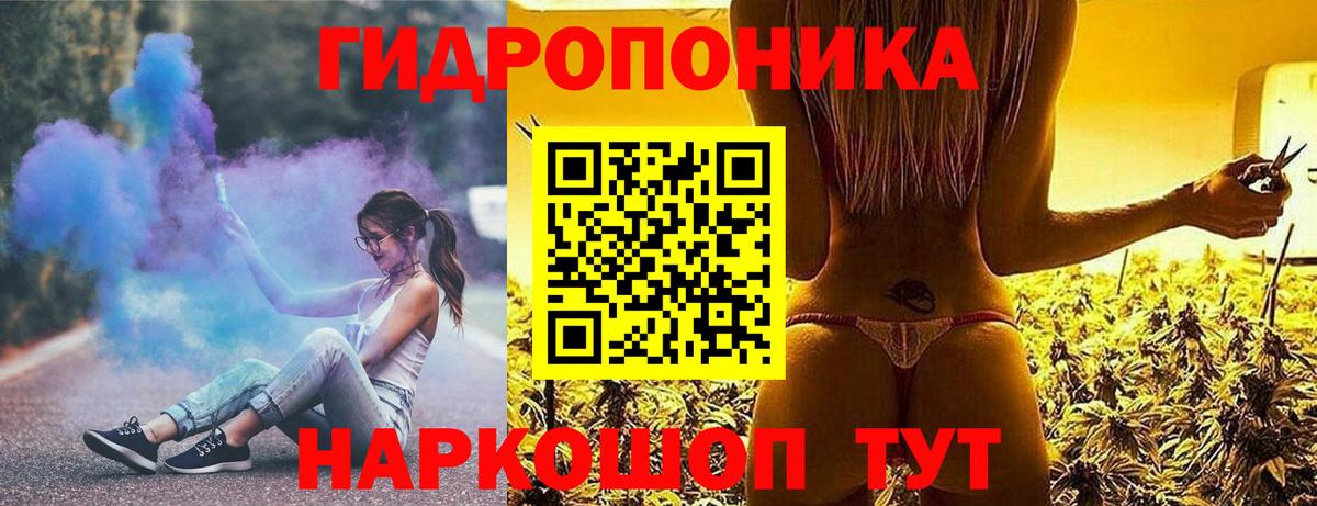 Бошки Шишки индика  Марихуана Amnesia  Бошки Шишки план  Славгород  Вход с VPN  МАРИХУАНА планчик 